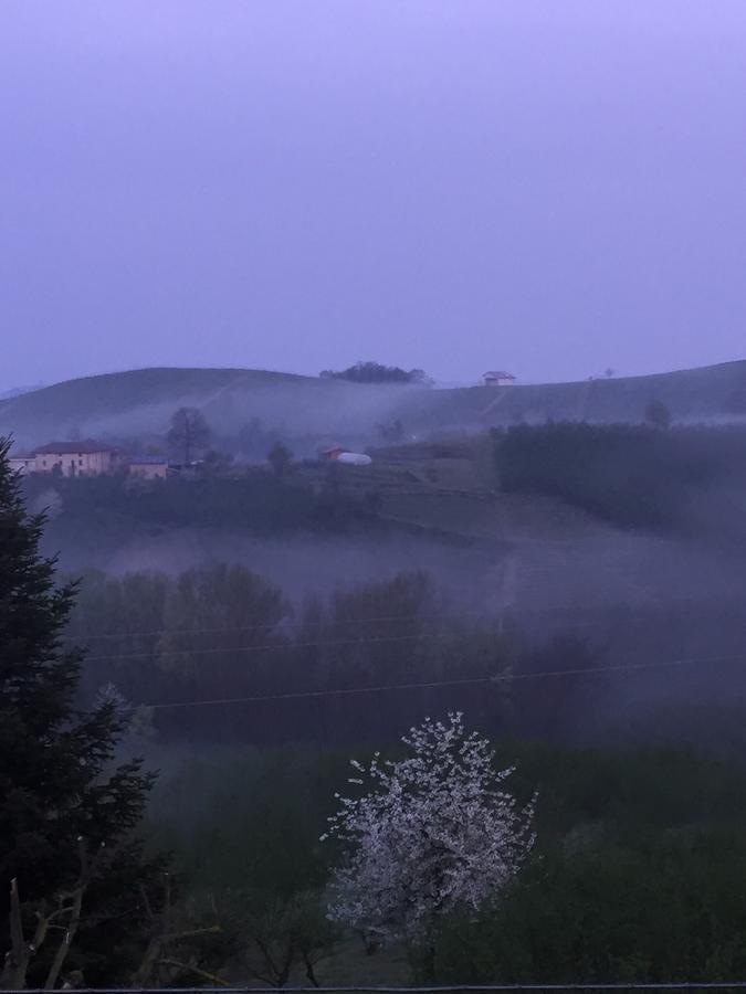 Cascina Baresane Bed and Breakfast Alba  Exteriör bild