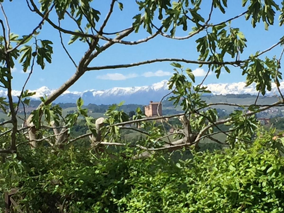 Cascina Baresane Bed and Breakfast Alba  Exteriör bild